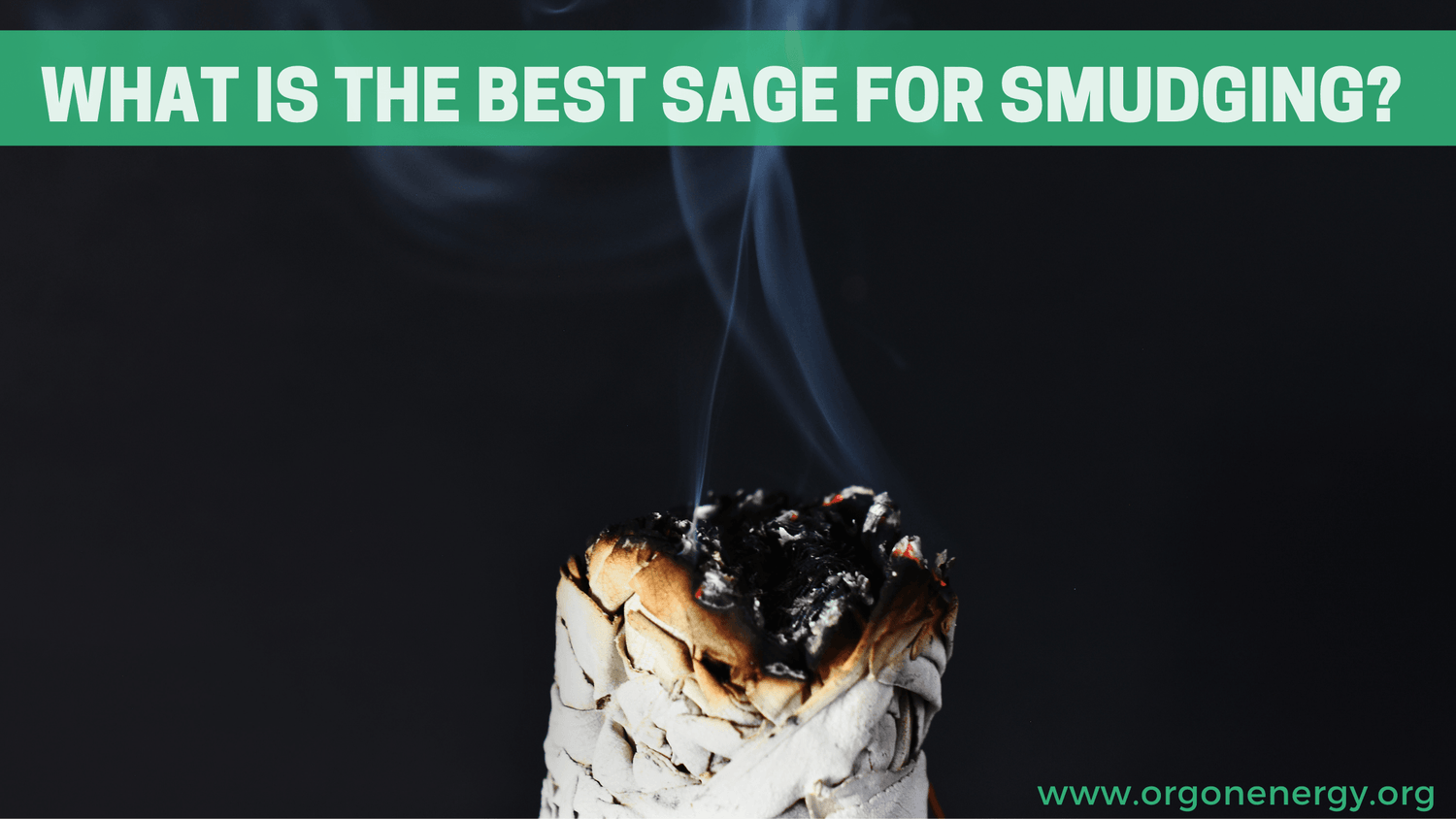 What is the Best Sage for Smudging? - Orgone Energy Australia