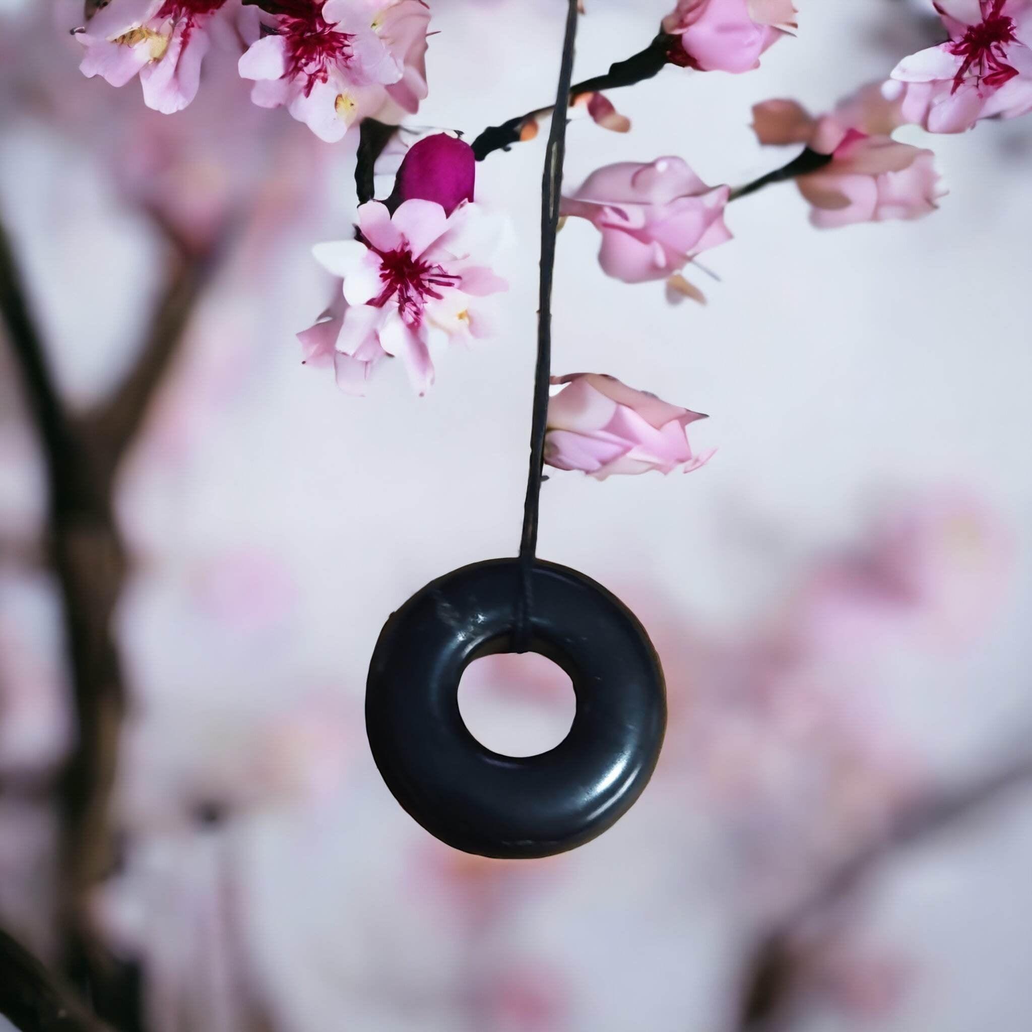 Shungite Circle Necklace - Orgone Energy Australia