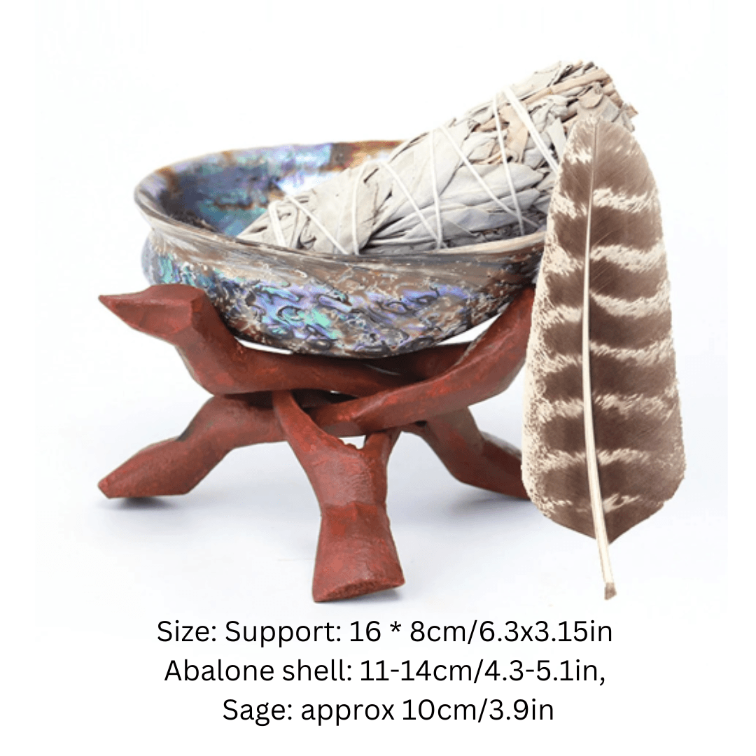 Abalone Shell for Smudging - Orgone Energy Australia