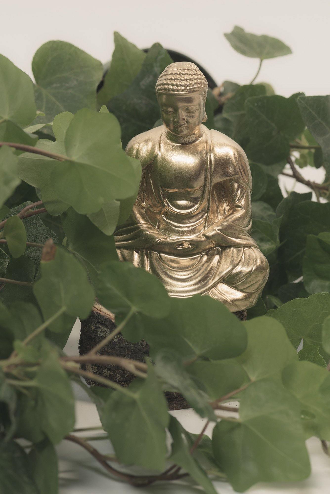 Buddha And Quan Yin Frequency Generators - Orgone Energy Australia