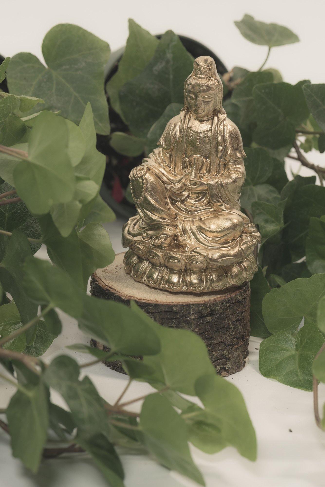 Buddha And Quan Yin Frequency Generators - Orgone Energy Australia