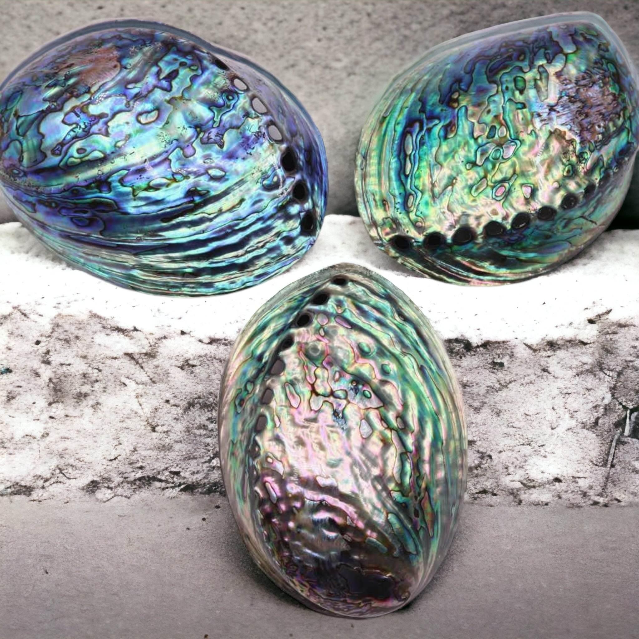 The Best Smudging Kit for your Home- Orgone Energy