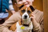 Best EMF Protection for Pets