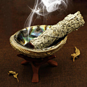 The Best Smudging Kit for your Home- Orgone Energy